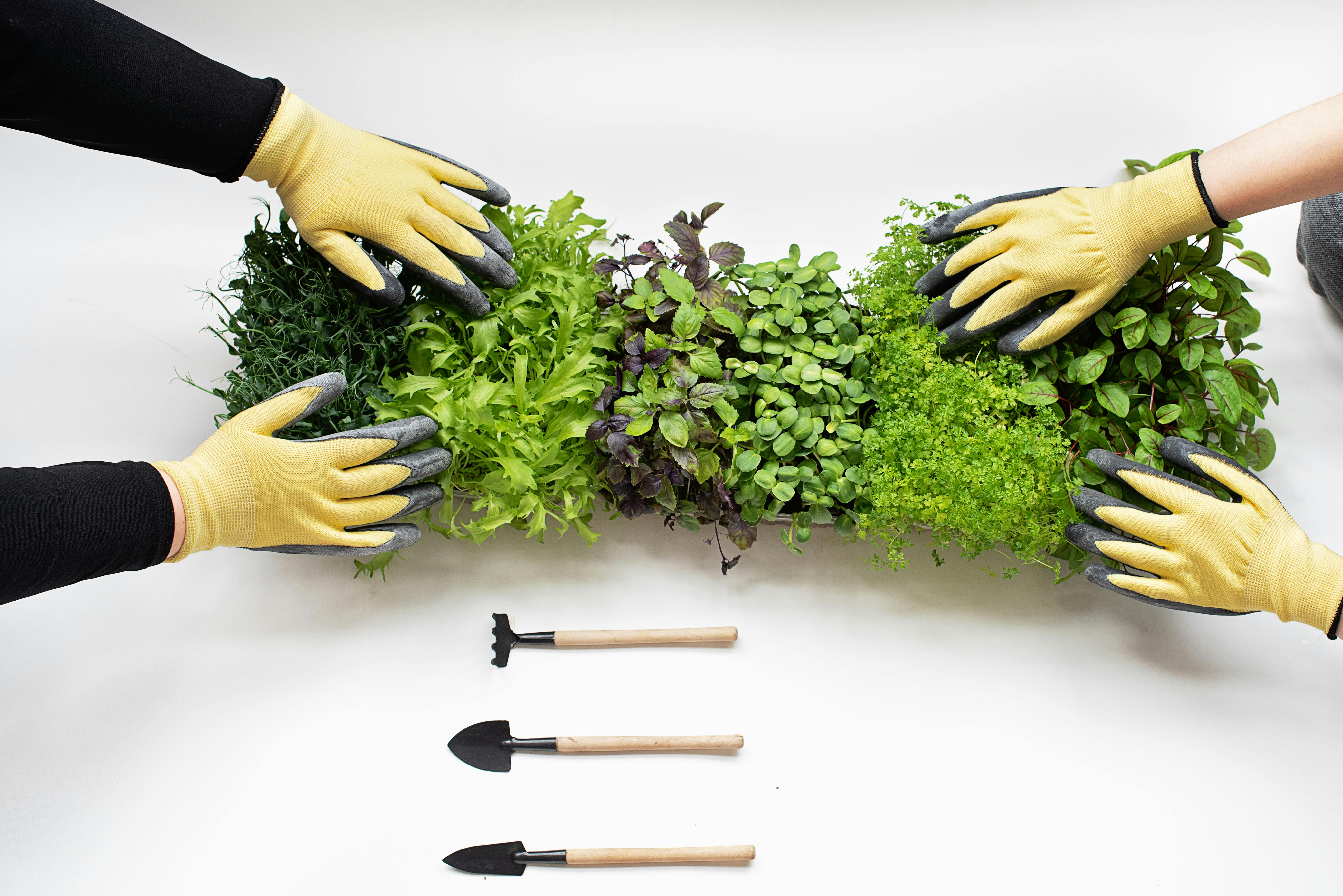 Lightweight hand gardening tools