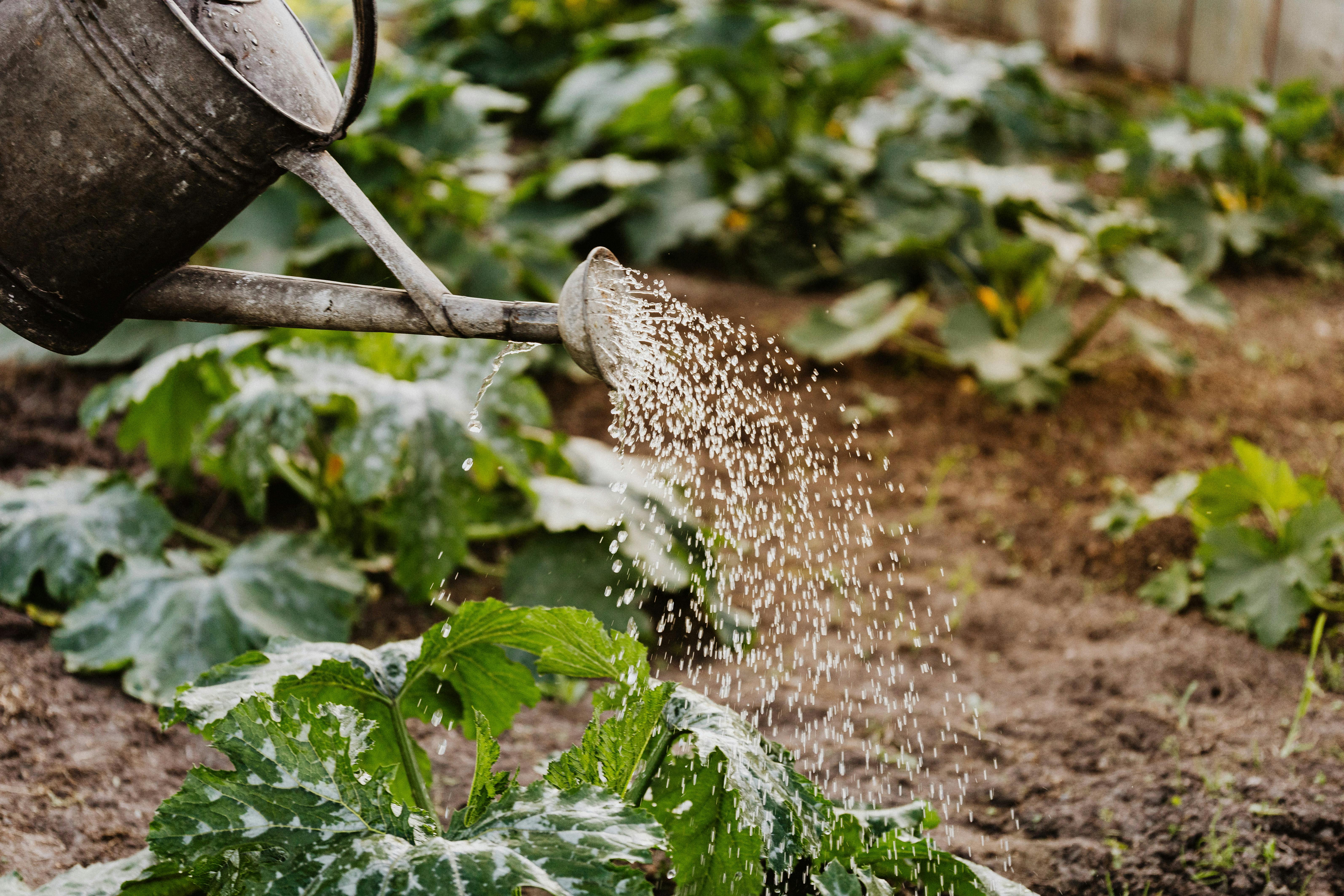 Ergonomic watering tools