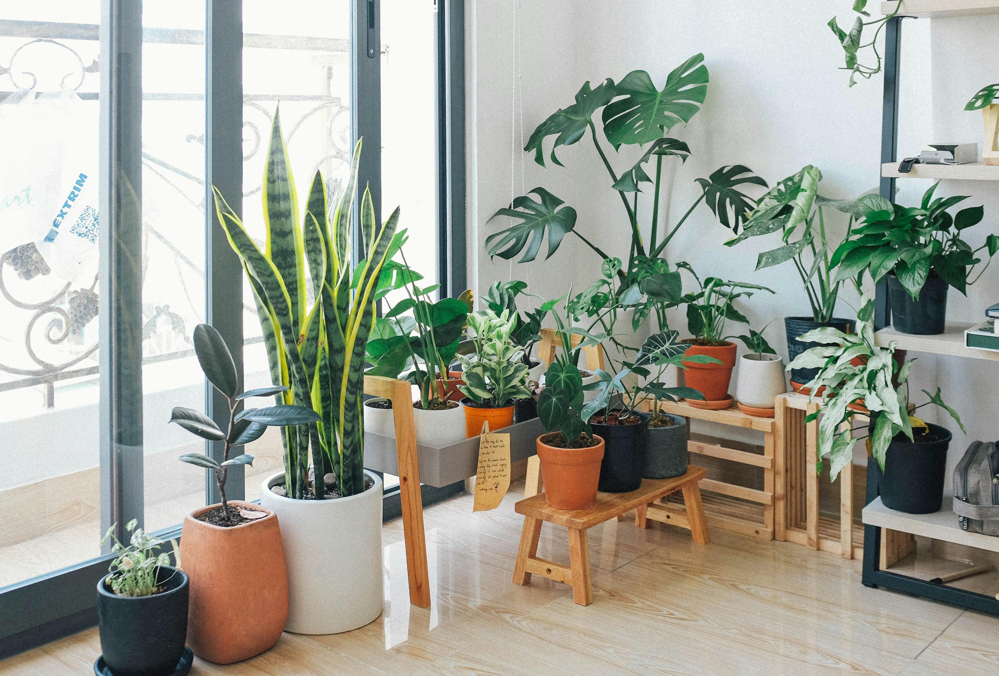 Indoor gardening setup