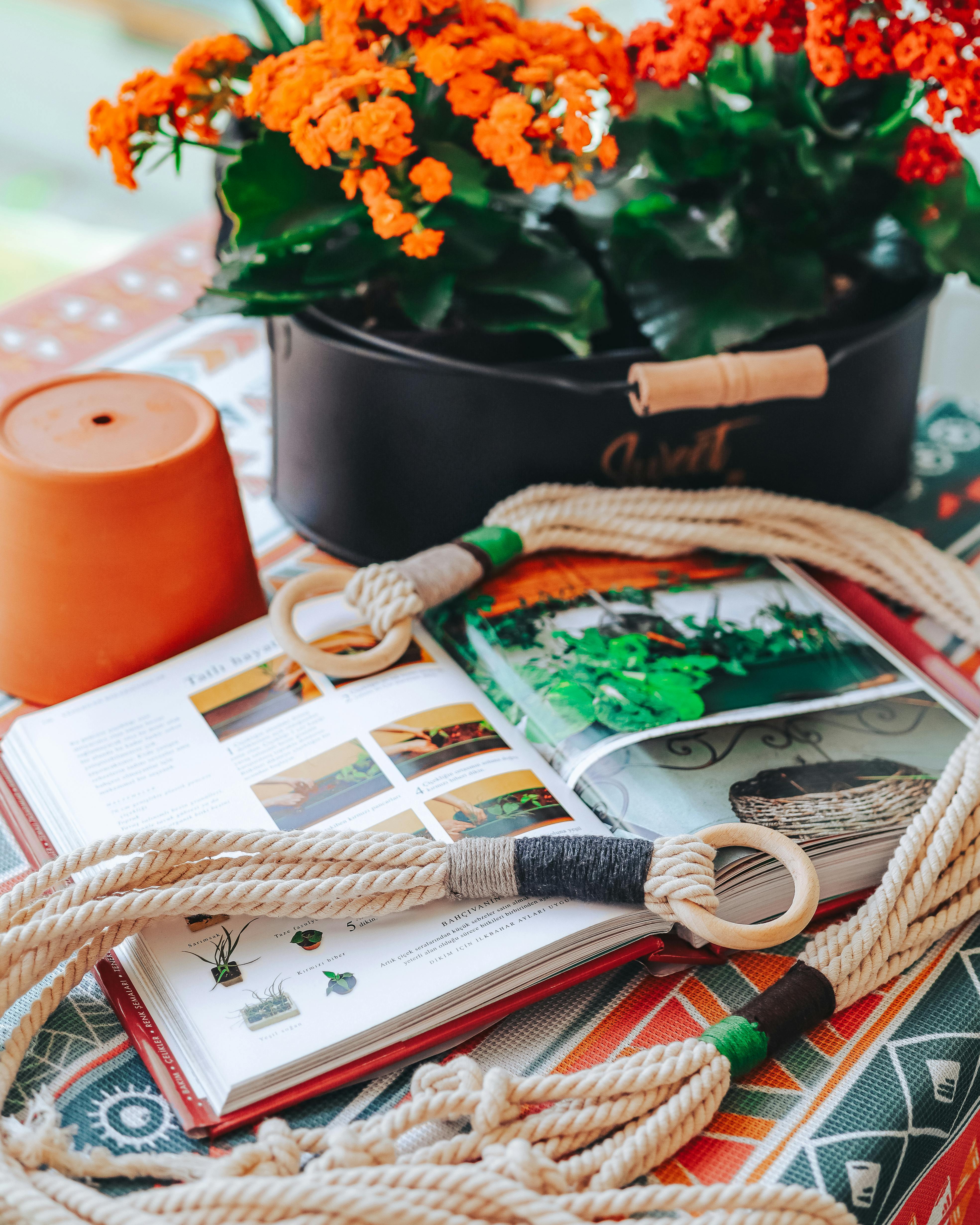 Gardening tips for seniors